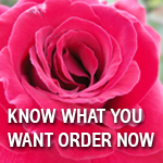 Know What you want to order, download our order form now!